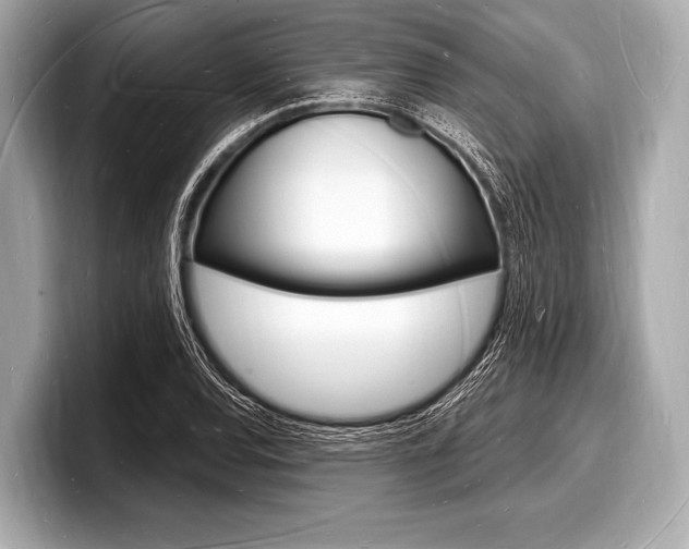 X0000098231120200804241156