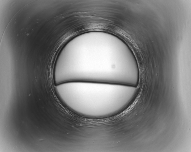 X0000098231121200804241156