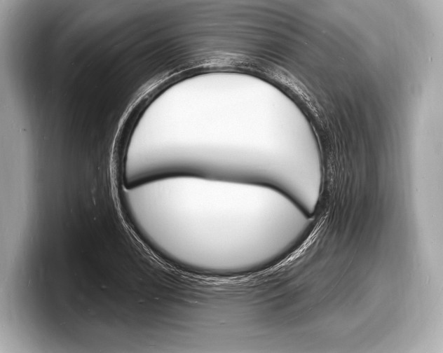 X0000098231122200804241156
