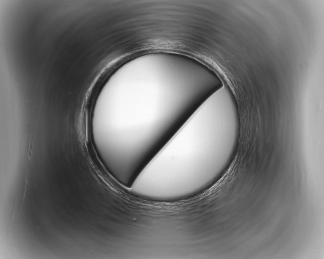 X0000098231123200804241156