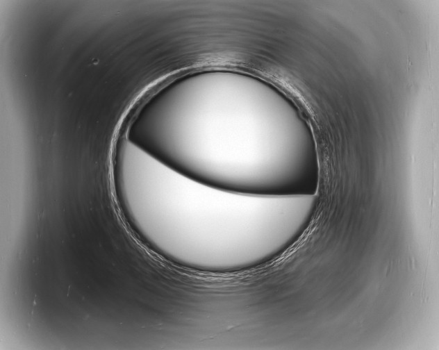 X0000098231124200804241156