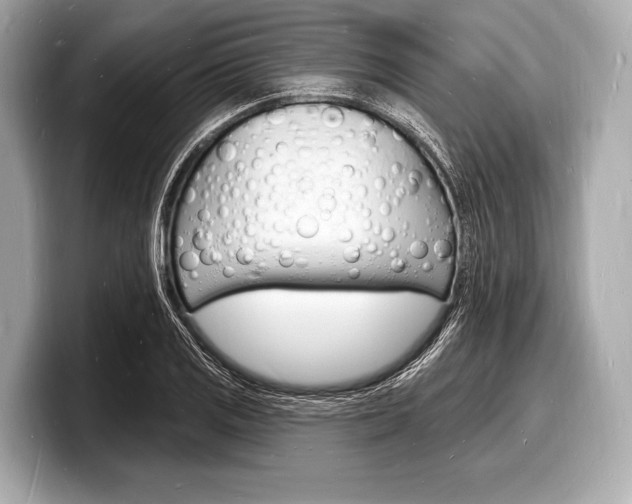 X0000098231125200804241156