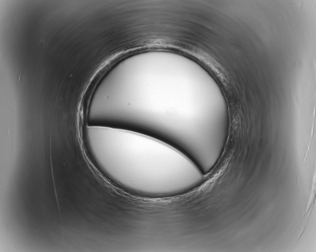 X0000098231126200804241156