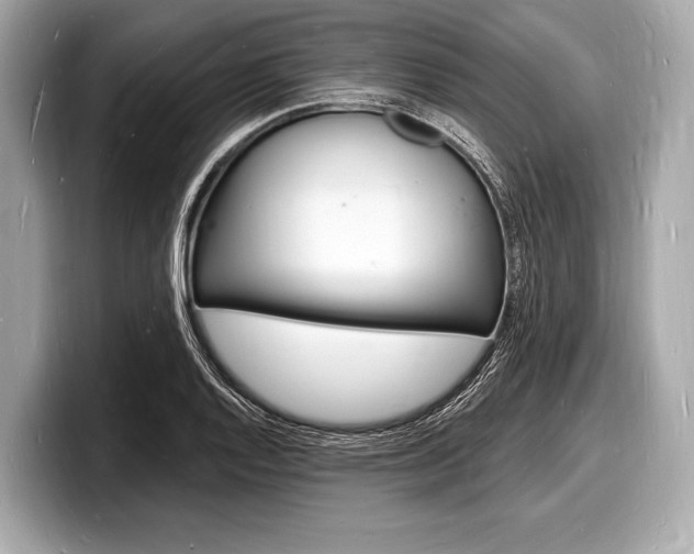 X0000098231128200804241156