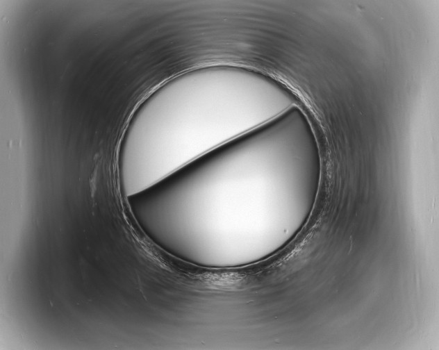 X0000098231129200804241156