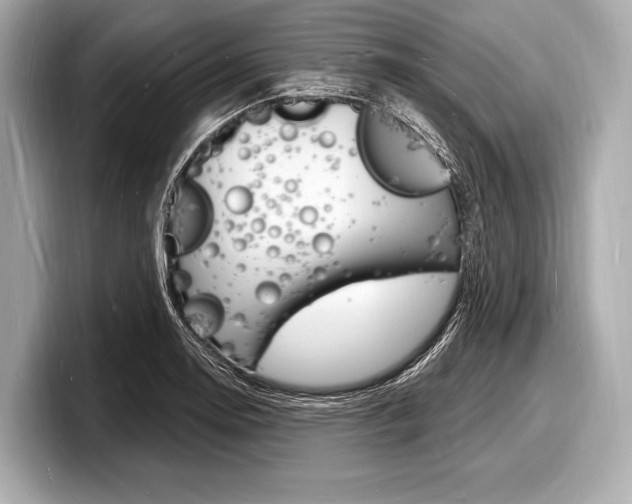 X0000098231130200804241156