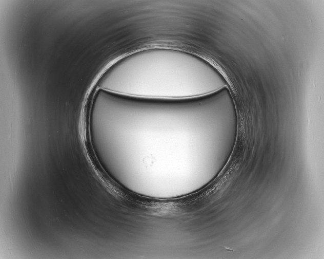 X0000098231131200804241156