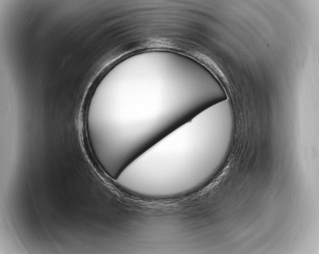 X0000098231133200804241156