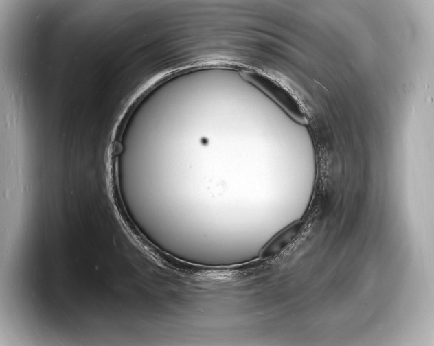 X0000098231134200804241156