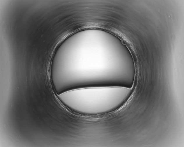 X0000098231137200804241156