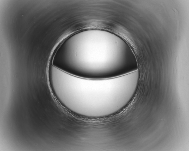 X0000098231138200804241156