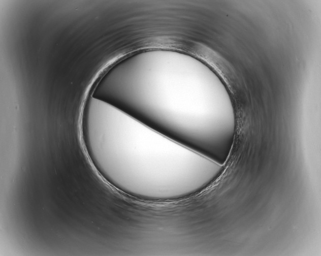 X0000098231139200804241156