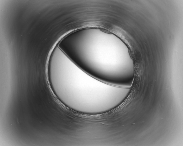X0000098231140200804241156
