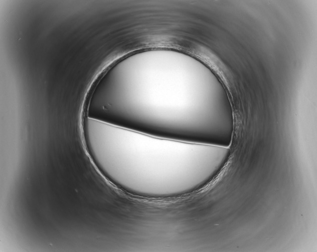 X0000098231141200804241156