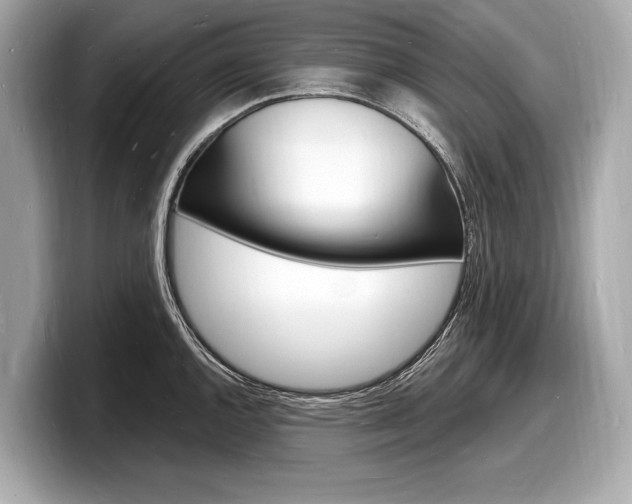 X0000098231144200804241156