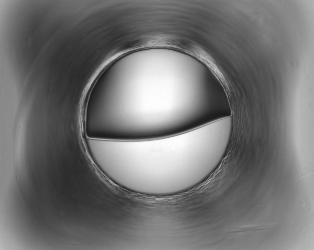 X0000098231148200804241156