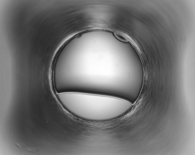 X0000098231149200804241156