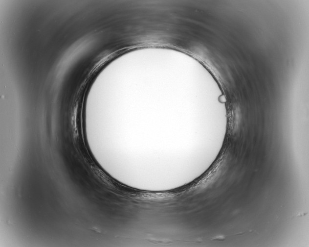 X0000098231150200804241156