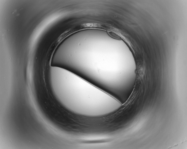 X0000098231151200804241156