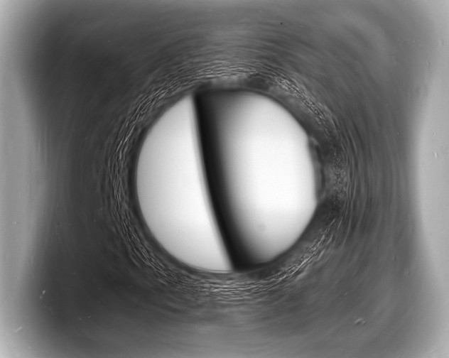 X0000098231153200804241155