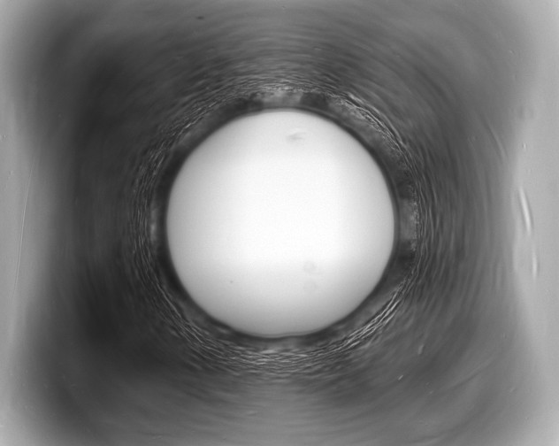 X0000098231154200804241155
