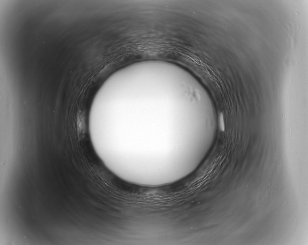 X0000098231155200804241155
