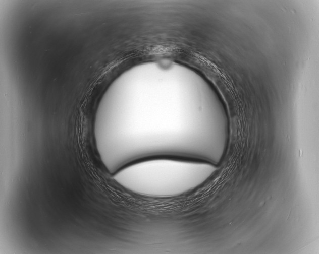 X0000098231158200804241155