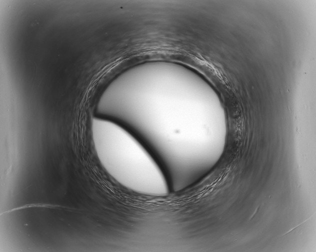 X0000098231159200804241155