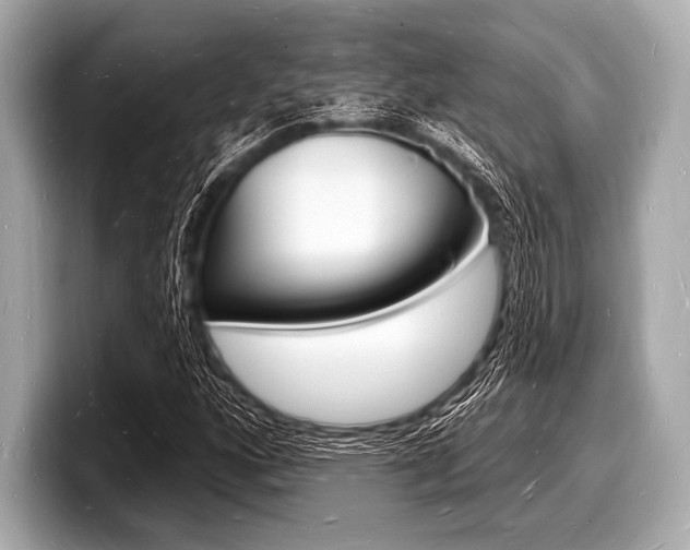 X0000098231160200804241155