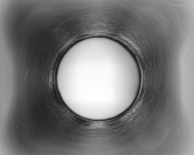 X0000098231162200804241155