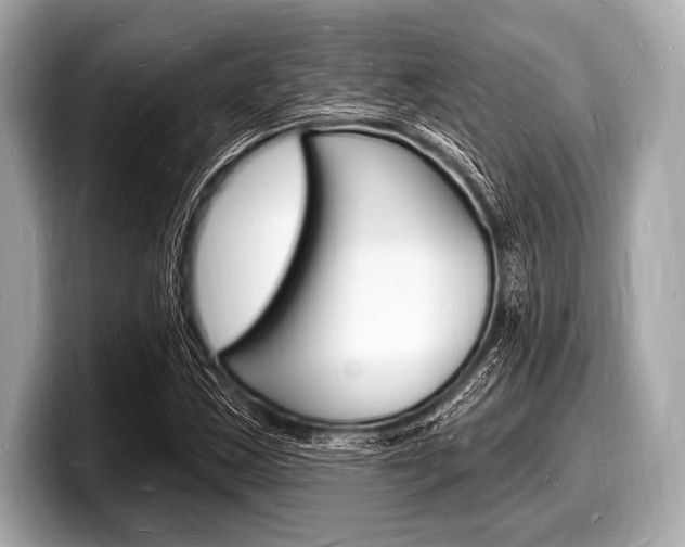 X0000098231163200804241155