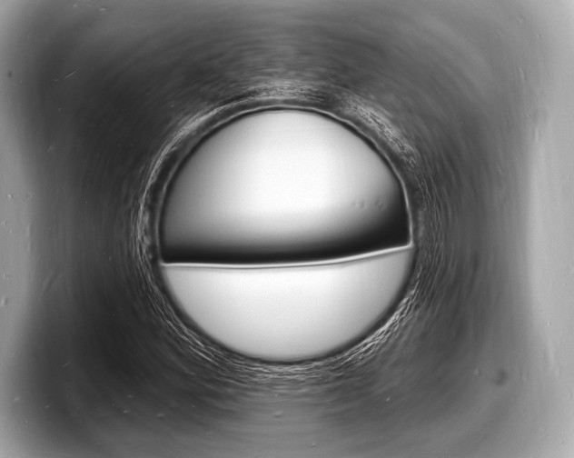 X0000098231164200804241155