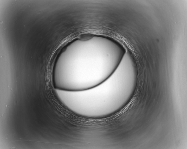 X0000098231165200804241155