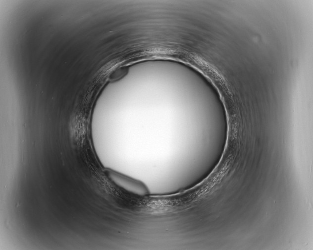 X0000098231169200804241155