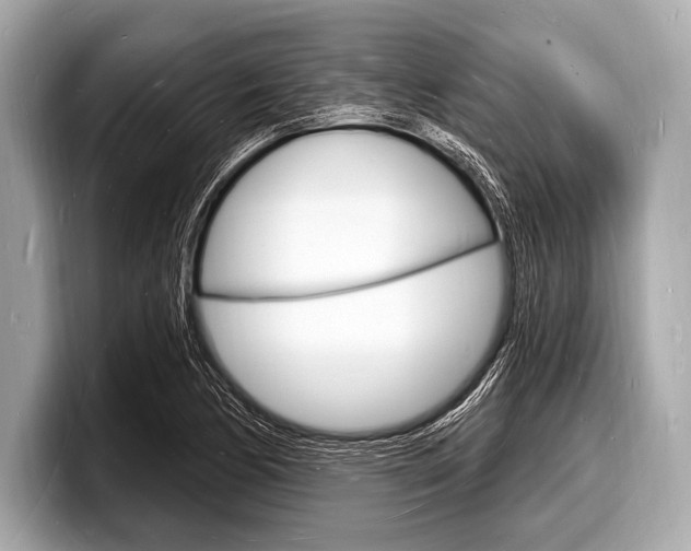 X0000098231170200804241155