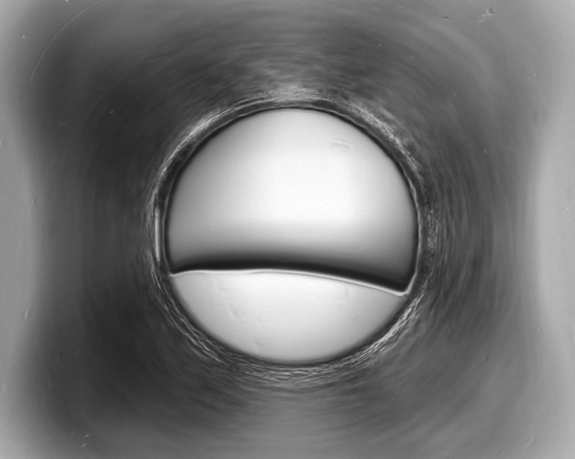 X0000098231171200804241155