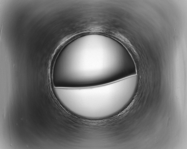 X0000098231176200804241155