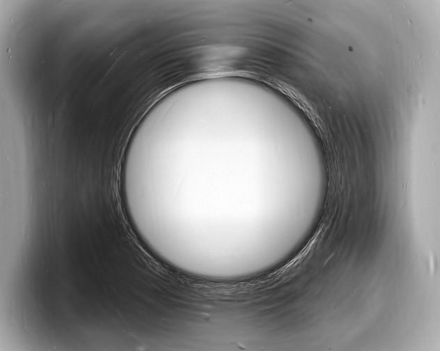 X0000098231177200804241155