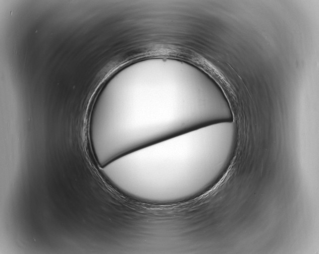 X0000098231178200804241155