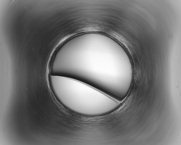 X0000098231179200804241155