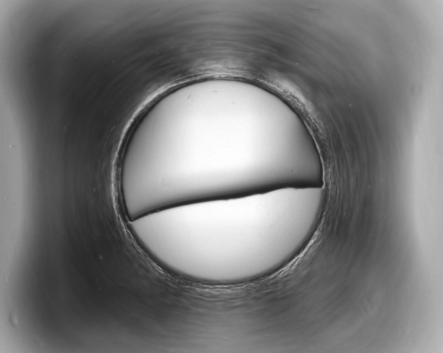 X0000098231182200804241155