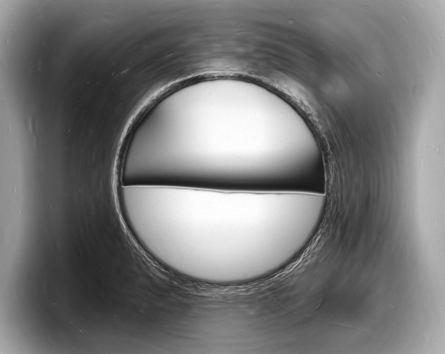 X0000098231183200804241155