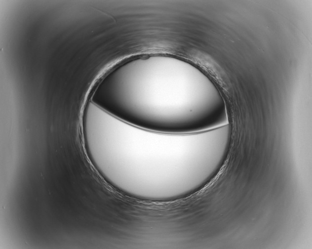 X0000098231184200804241155