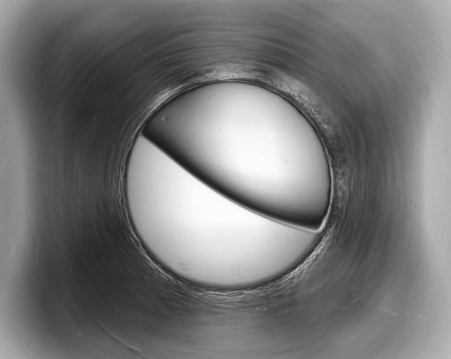 X0000098231185200804241155