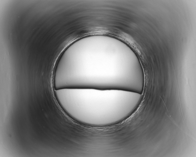 X0000098231186200804241155