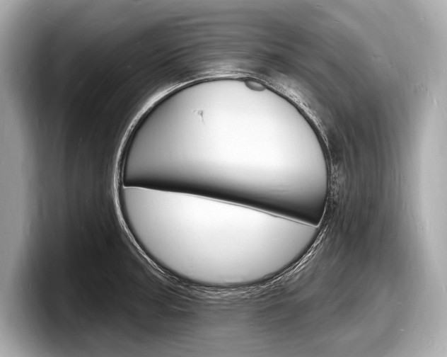 X0000098231187200804241155