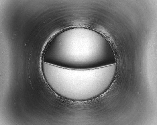 X0000098231188200804241155