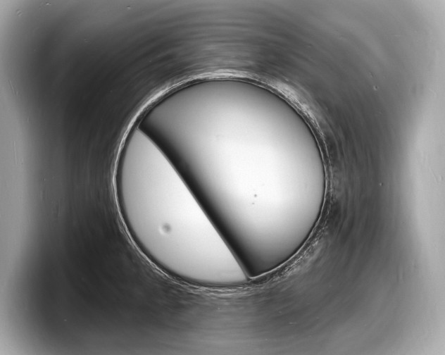 X0000098231189200804241155