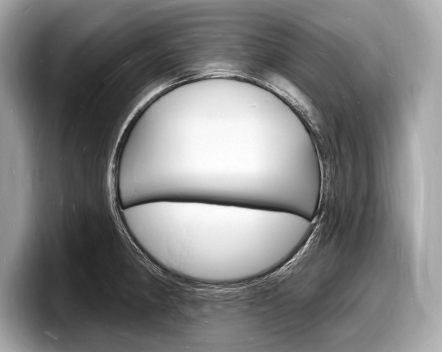 X0000098231190200804241155