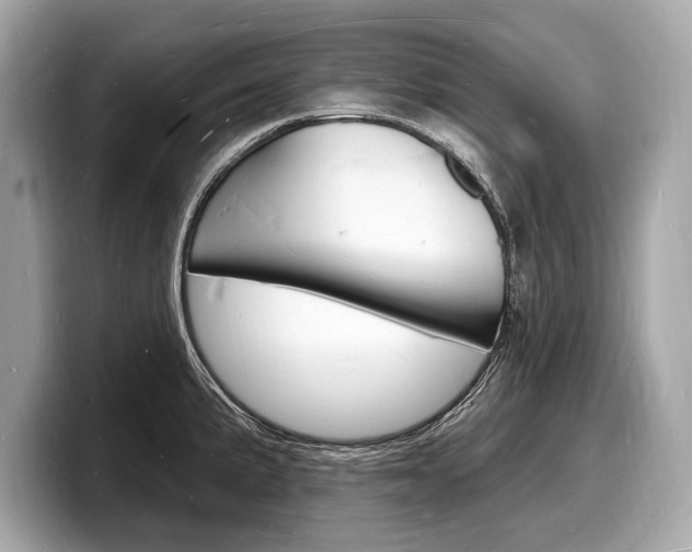 X0000098231191200804241155